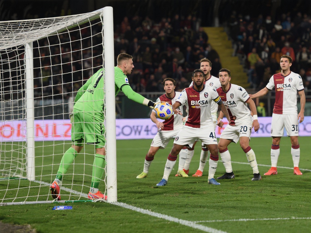 市场提供了 市场提供了